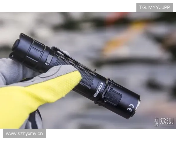 居莱尔主力竞争困境：战术适配性与出场稳定性解析