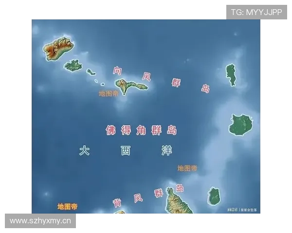 库拉索世界杯数据统计分析